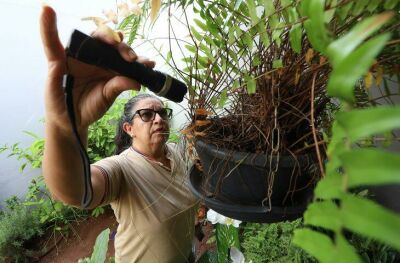 Imagem da notícia Combate ao Aedes começa dentro de casa e saúde faz alerta em MS